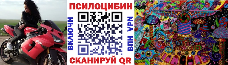 Галлюциногенные грибы Cubensis  Судогда 